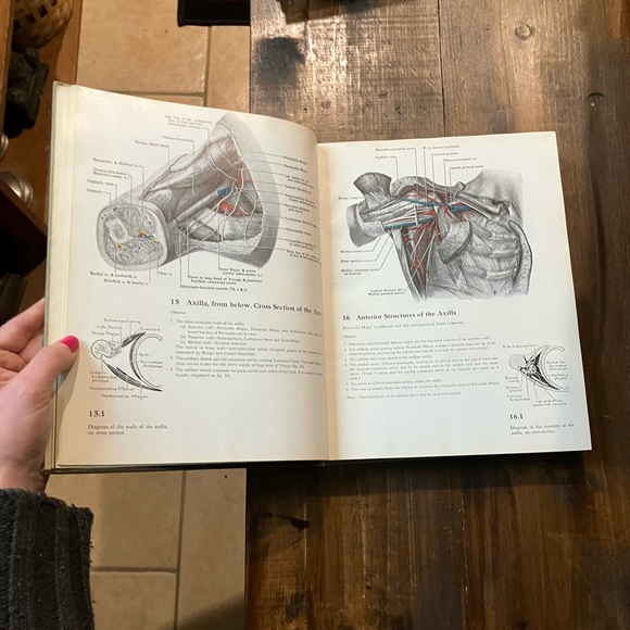Grant's Atlas of Anatomy - 6th Edition - Vintage 1972 Illustrated Medical Book - Picture 13 of 16
